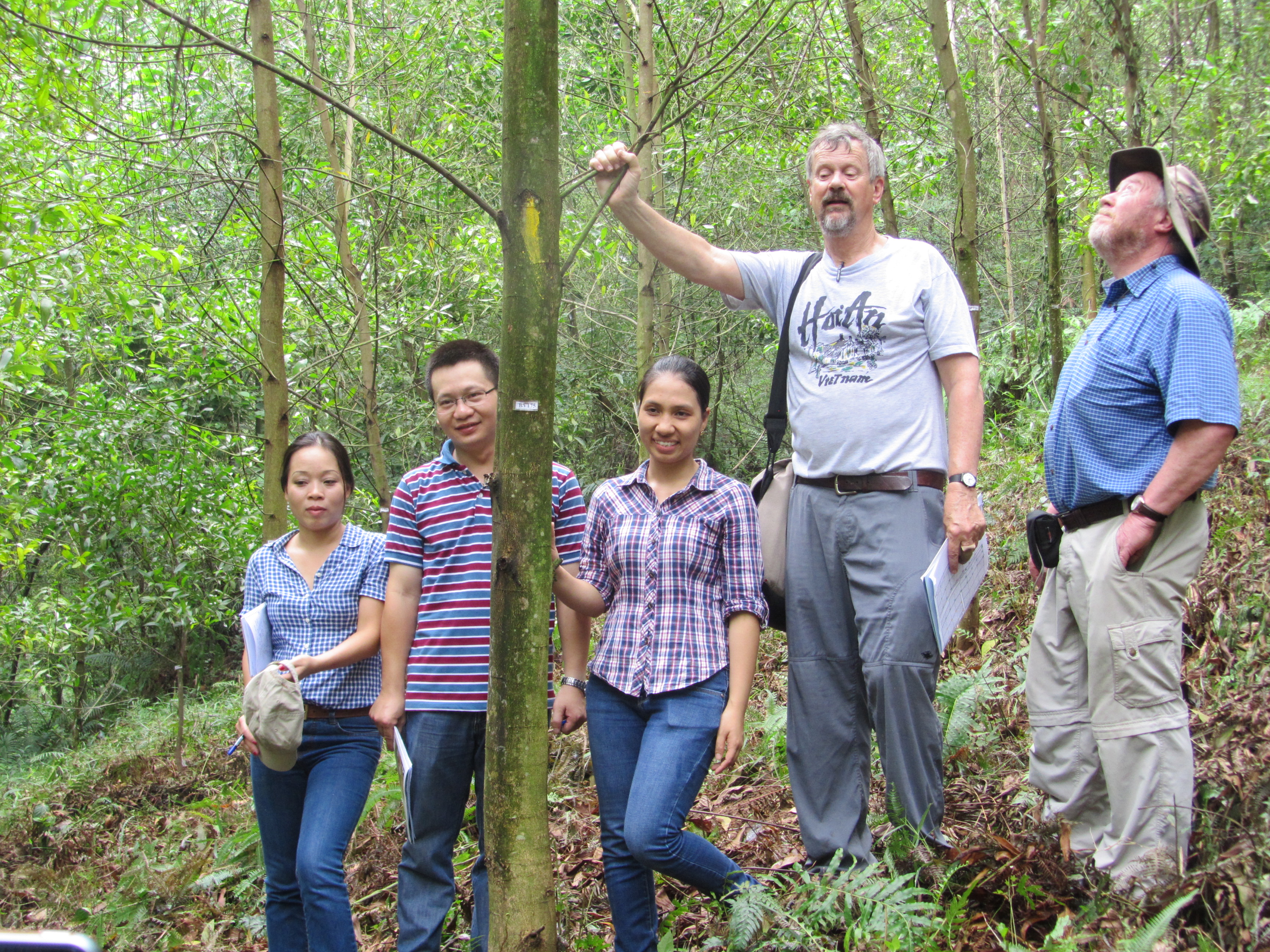 thumbnail of  Understanding success in research-for-development projects