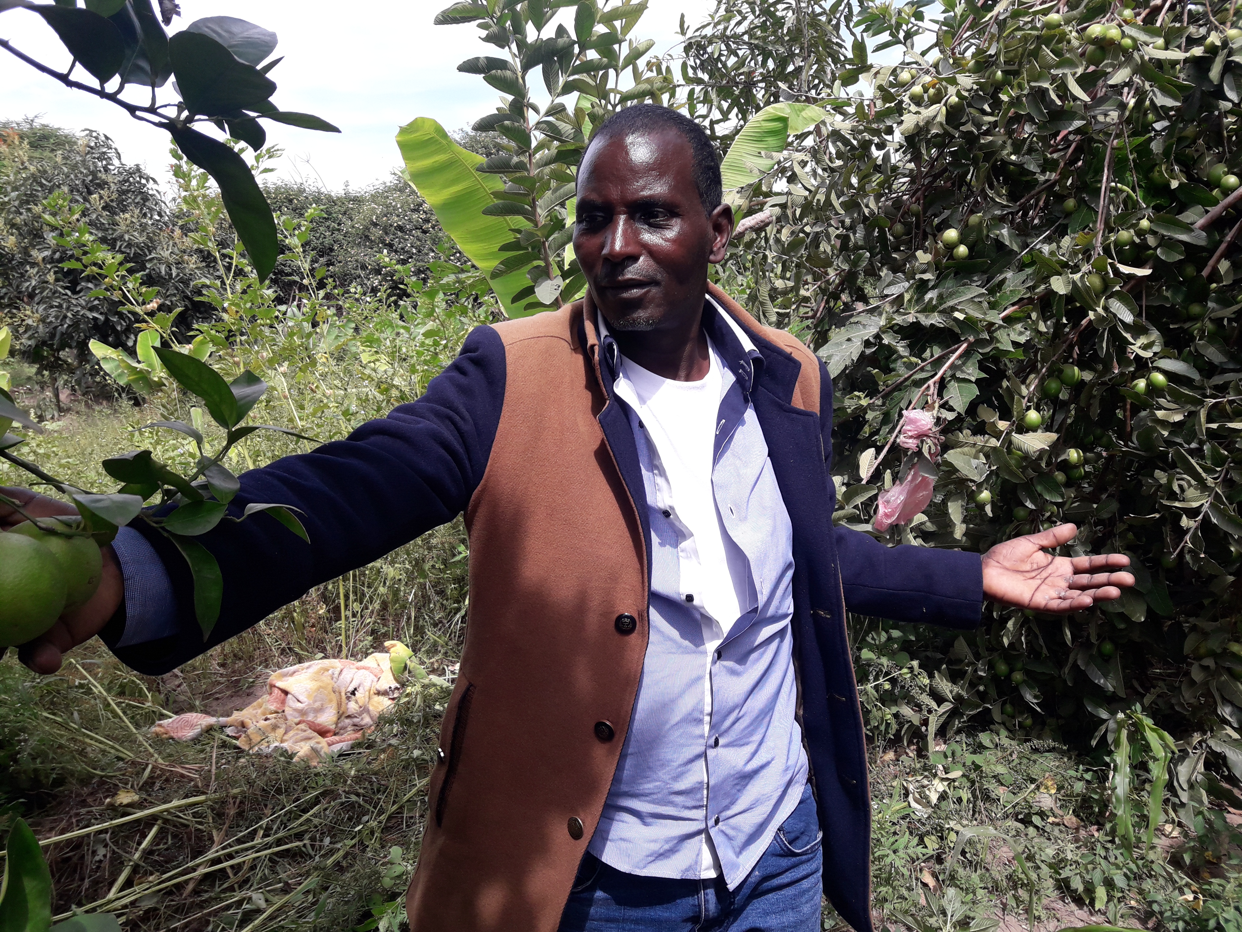 thumbnail of  Participants call experience sharing and on-farm training an “eye-opener”