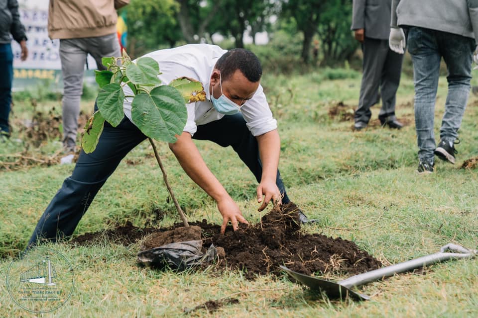 thumbnail of  Ethiopia to grow 5 billion trees in the Second Green Legacy Campaign