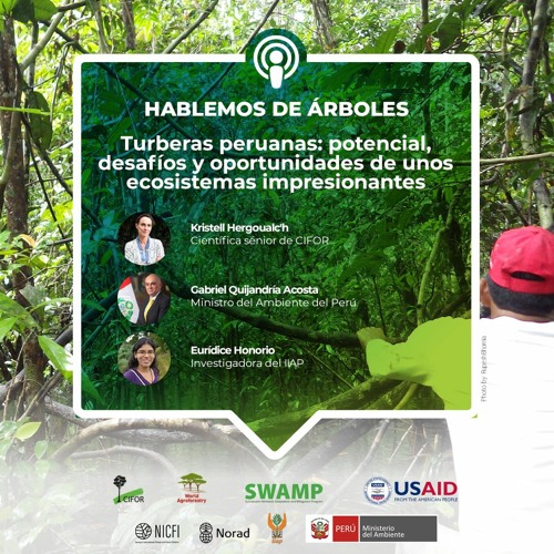 thumbnail of Turberas peruanas: potencial, desafíos y oportunidades de unos ecosistemas impresionantes