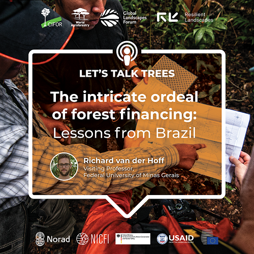 thumbnail of The Intricate ordeal of forest financing: Lessons from Brazil