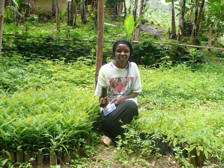 thumbnail of  Value unchained: putting money into the hands that grow our food