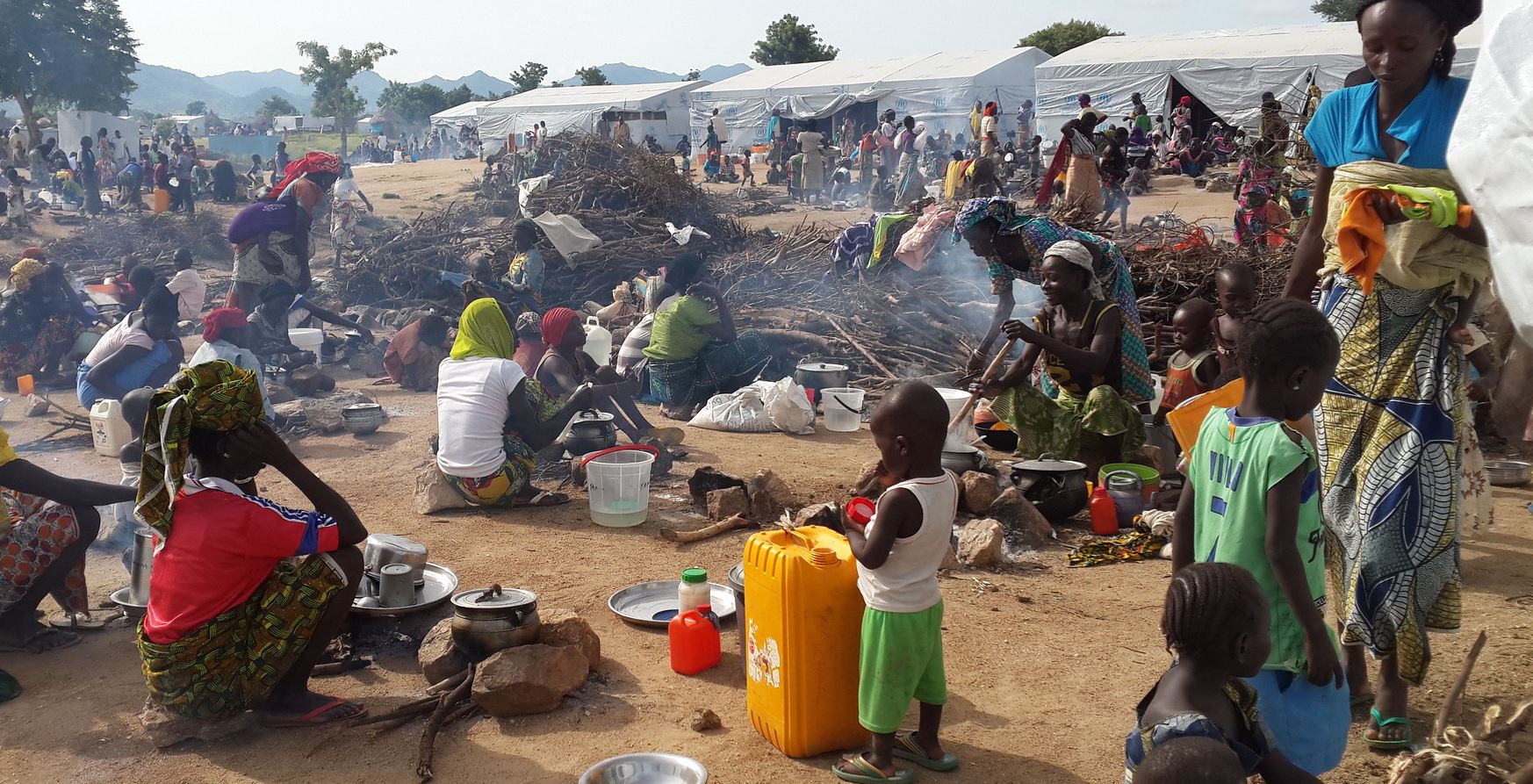 thumbnail of  Insecurity in Niger: reversing the gains made in land restoration