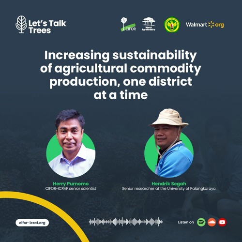 thumbnail of Growing greener commodities – one district at a time