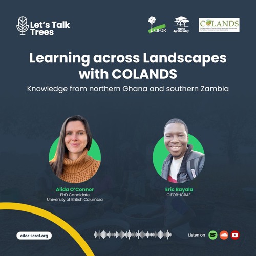 thumbnail of Learning across landscapes with COLANDS: Knowledge from northern Ghana and southern Zambia