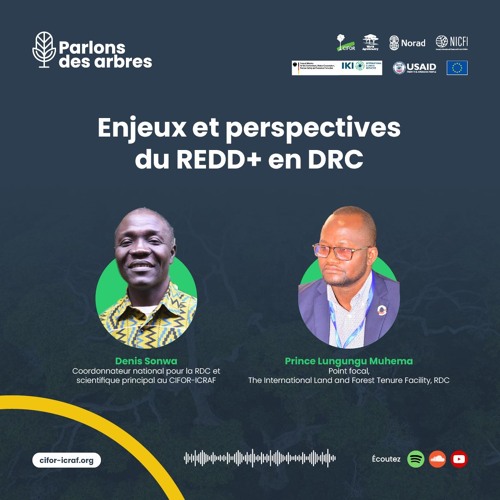 thumbnail of Enjeux et perspectives de la REDD+ en RDC