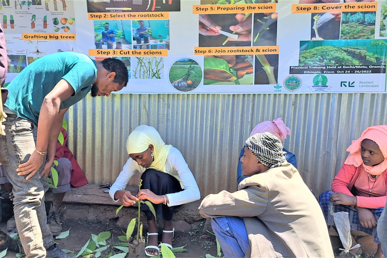 thumbnail of  From inspiration to action