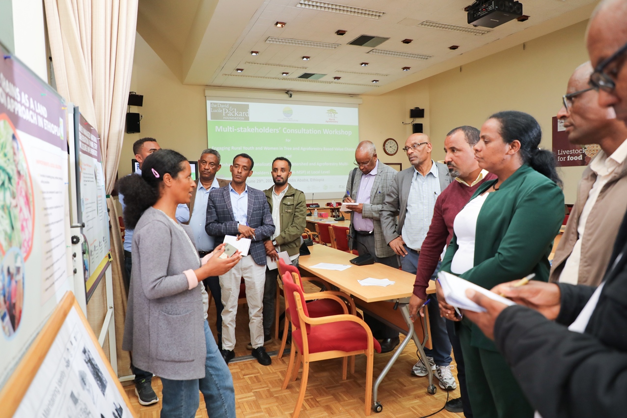 thumbnail of  Ethiopia: Engaging stakeholders on watersheds and agroforestry from the ground up