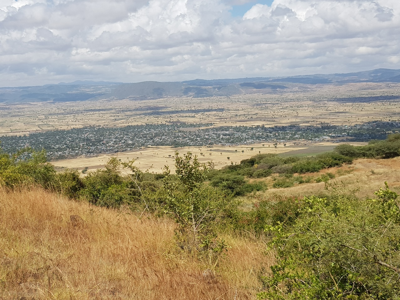 thumbnail of  Tailoring Ethiopia’s Dryland Restoration Strategy to regional contexts