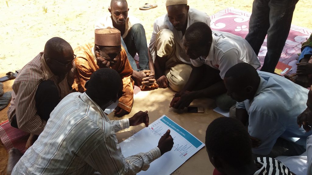 thumbnail of  Restoring drylands and empowering farmers: lessons from the Drylands Development Programme