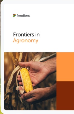 thumbnail of Enhancing maize (Zea mays) productivity through integrated soil fertility management: a participatory approach in the degraded soils of Kigoma, Tanzania