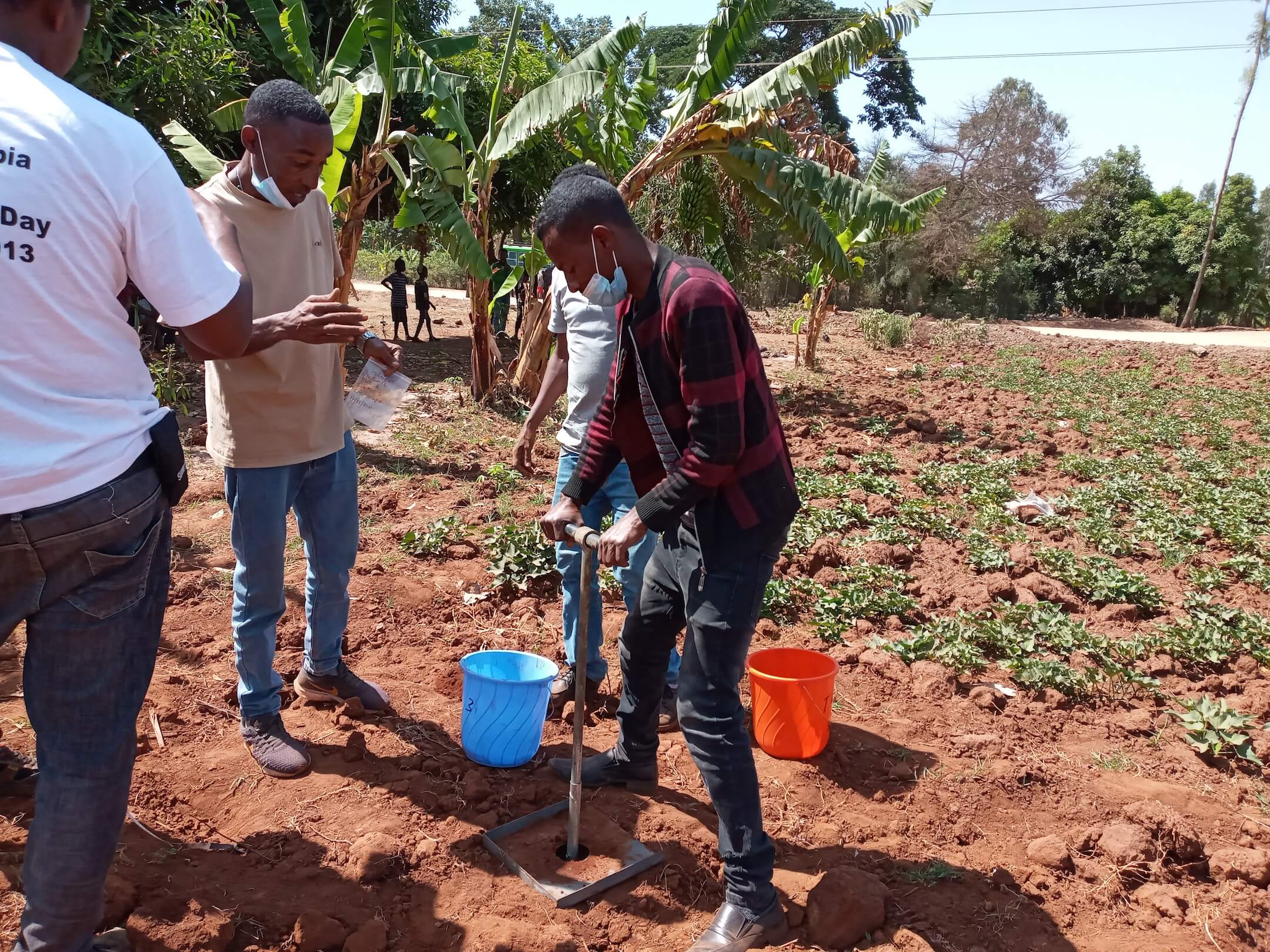 thumbnail of  Learning how to apply the Land Degradation Surveillance Framework in Ethiopia