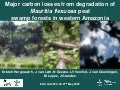 thumbnail of  Major CO2 losses from degradation of Mauritia flexuosa peat swamp forests in western Amazonia