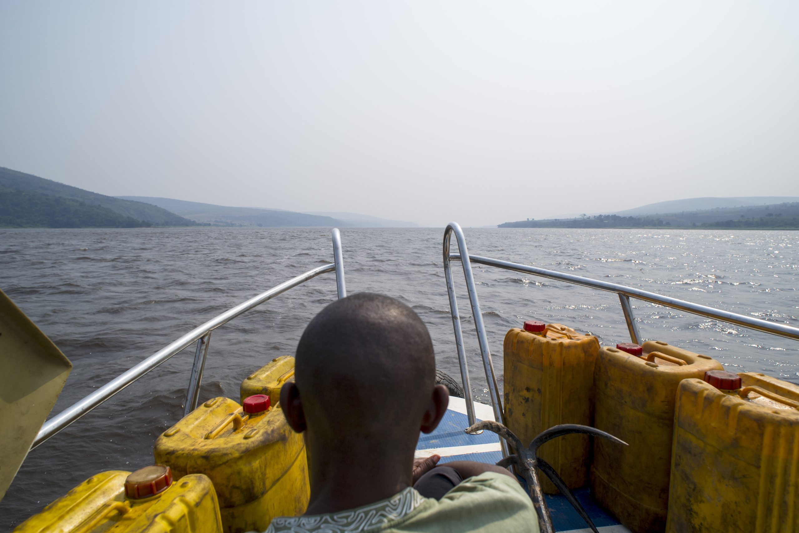 thumbnail of  Against all odds: Fragile plant specimens arrive safely and thrive in forest station