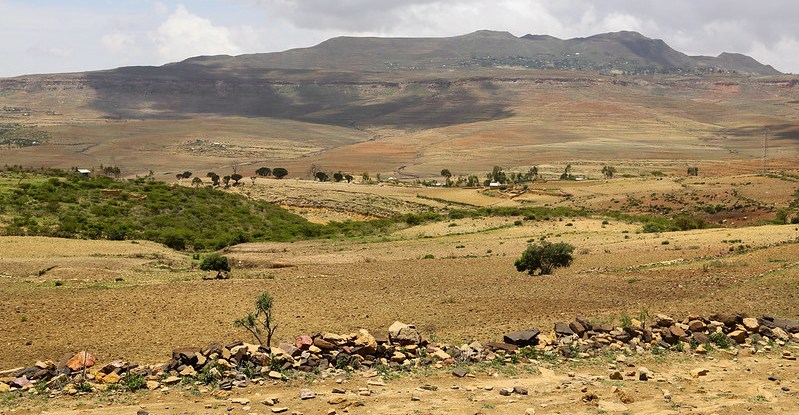 thumbnail of  Getting Ethiopia REDD+ ready