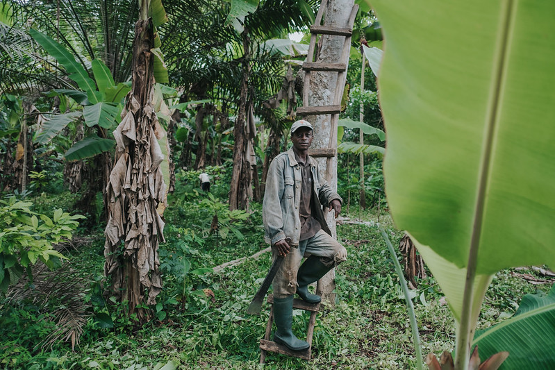 thumbnail of  As cocoa prices soar, why are the benefits so unbalanced?