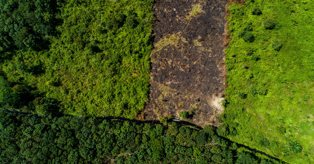 CIFOR-ICRAF welcomes Council decision on EU Deforestation Regulation