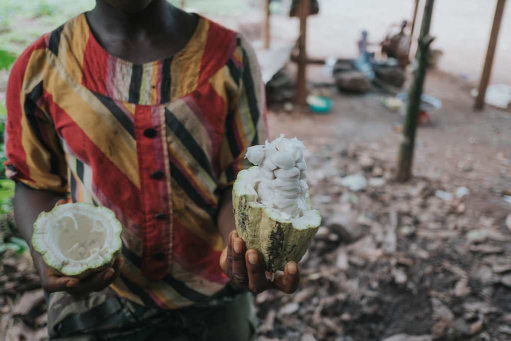 thumbnail of  Bitter or sweet trade for Africa’s cocoa farmers?