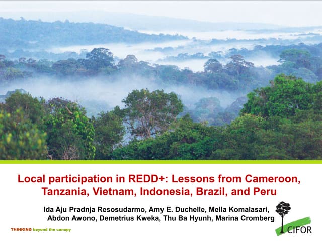 thumbnail of  Local participation in REDD+: Lessons from Cameroon, Tanzania, Vietnam, Indonesia, Brazil and Peru