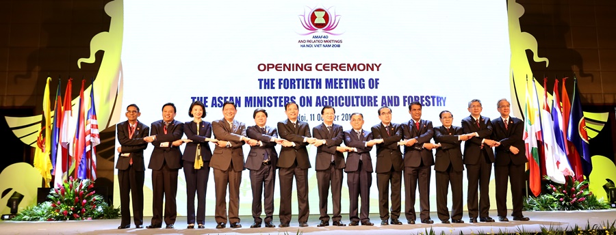 thumbnail of  ASEAN Guidelines for Agroforestry Development set to revolutionize land use in Southeast Asia