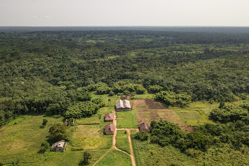 thumbnail of  Governance issues slow land use planning progress in Central Africa