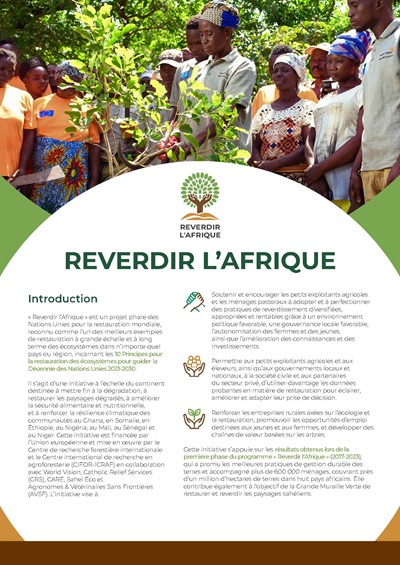 thumbnail of Reverdir l’Afrique