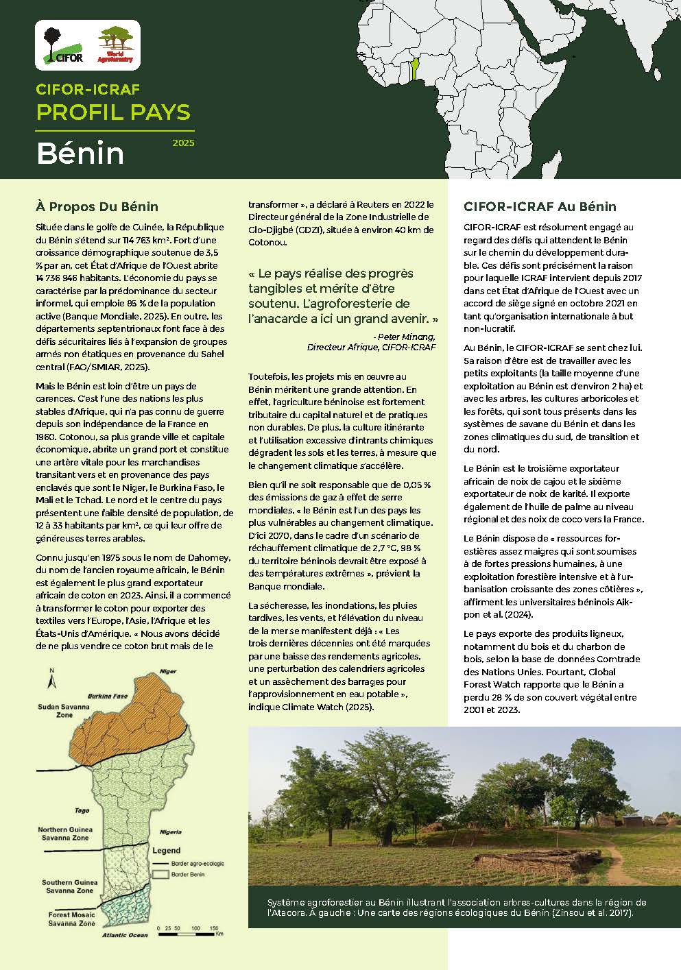 thumbnail of CIFOR-ICRAF PROFIL PAYS : Bénin