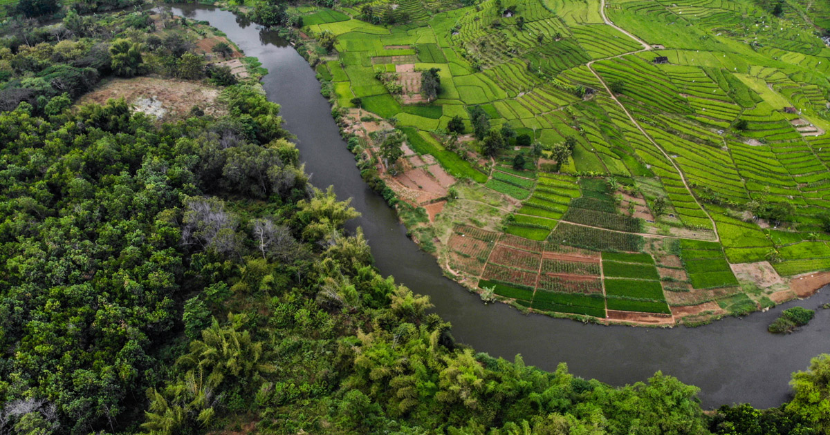 Joint statement: NEXT EU EXTERNAL BUDGET: Investing in nature and people is key to delivering the Global Biodiversity Framework, Paris Agreement and SDGs