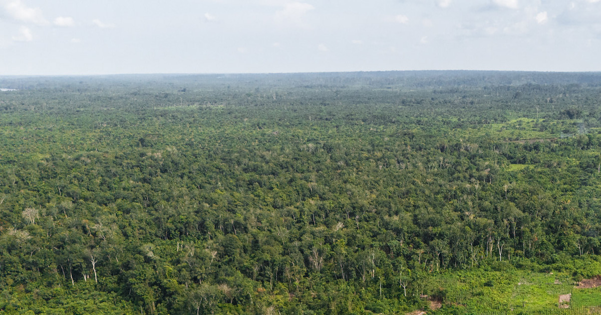 AI-related technologies