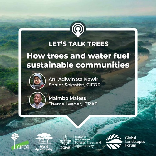 thumbnail of How trees and water fuel sustainable communities