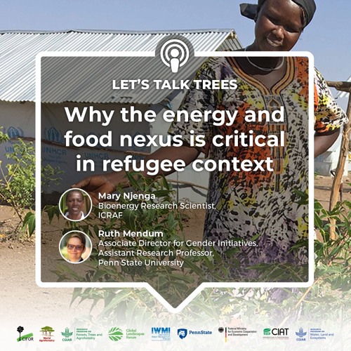 thumbnail of Why the energy and food nexus is critical in refugee context