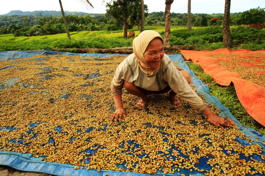 thumbnail of  Mass movement and the ‘femininization’ of agriculture