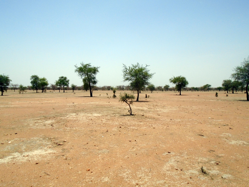 thumbnail of  Systematic monitoring and mapping techniques for land restoration