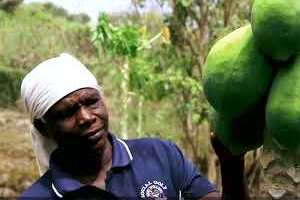 thumbnail of  “Start with what you have and where you are”: ABCD