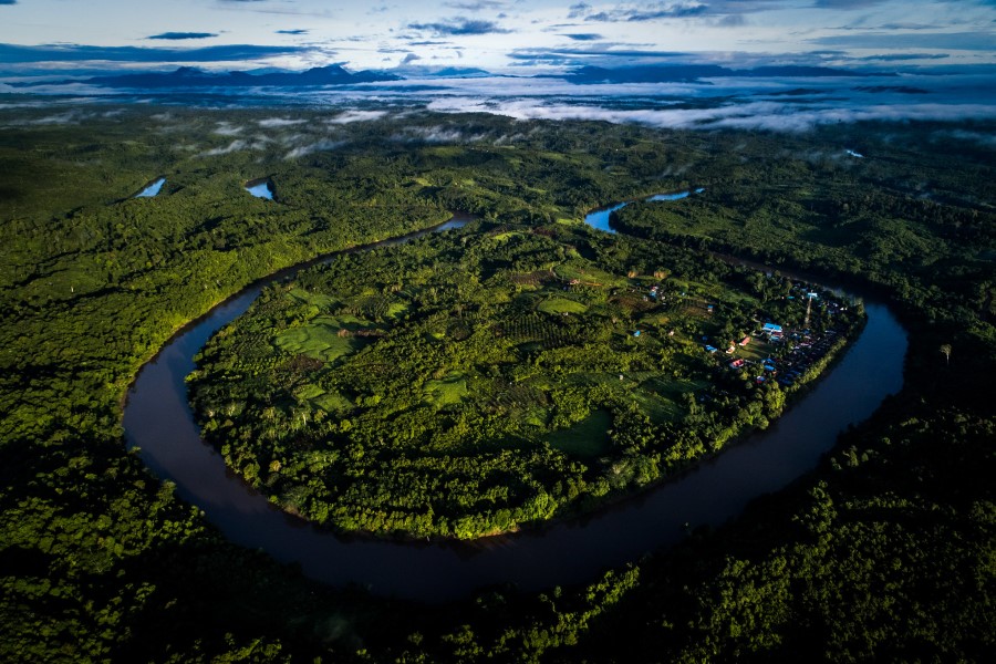 thumbnail of  CoP 27: The silent cry for stewardship of the Earth