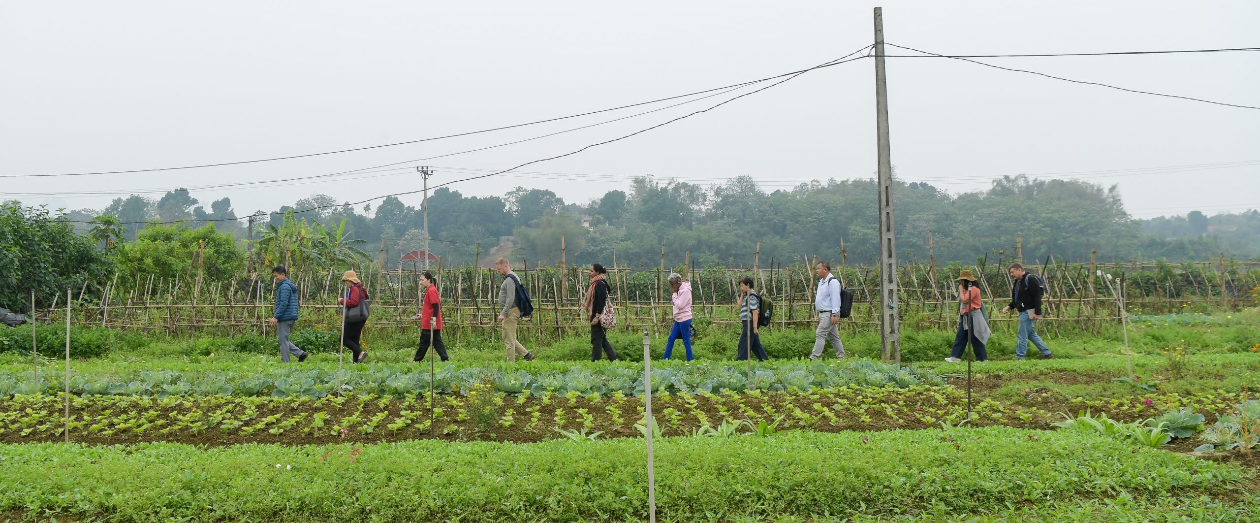 thumbnail of  “We’re here to make things happen”: Agroecology leaders gather in Vietnam