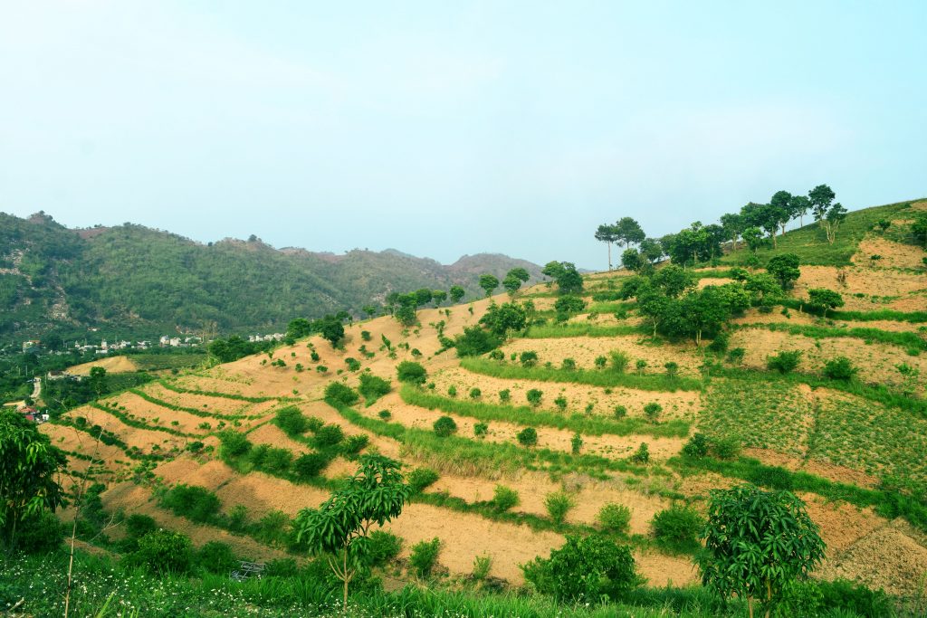 thumbnail of  Successful agroforestry options in Viet Nam