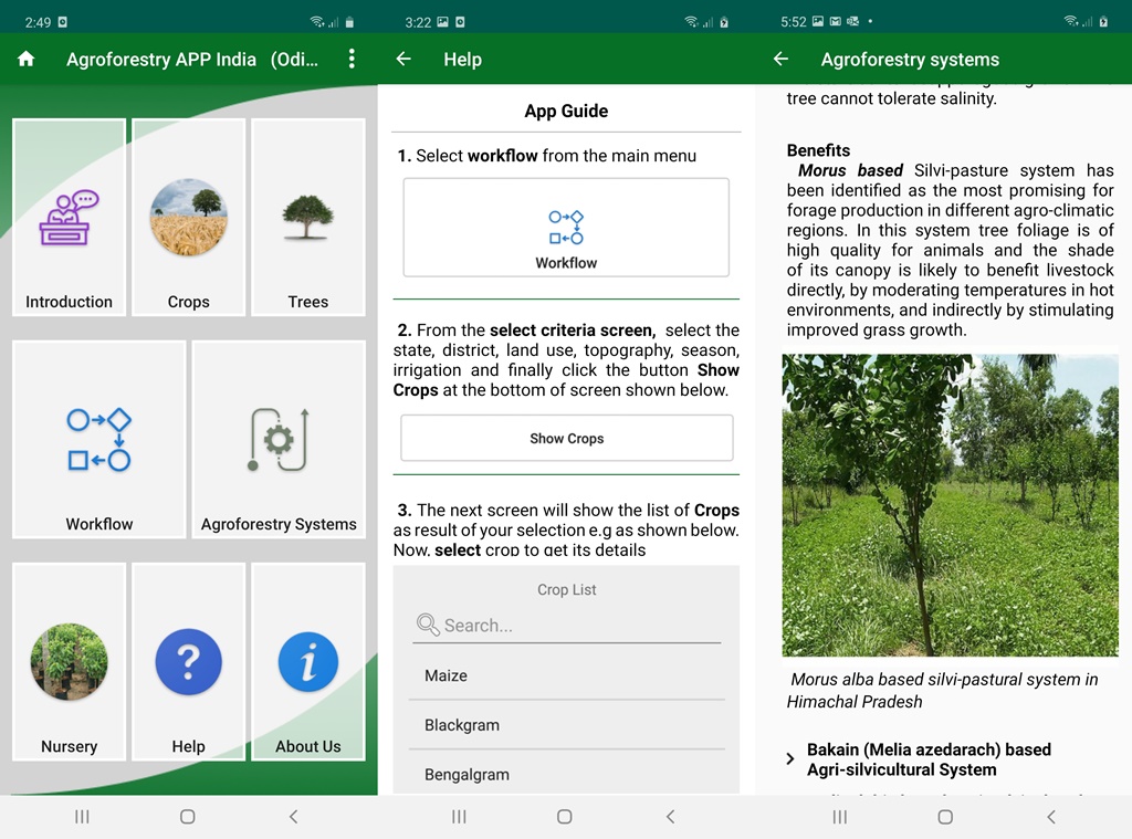thumbnail of  App set to revolutionise agroforestry in India