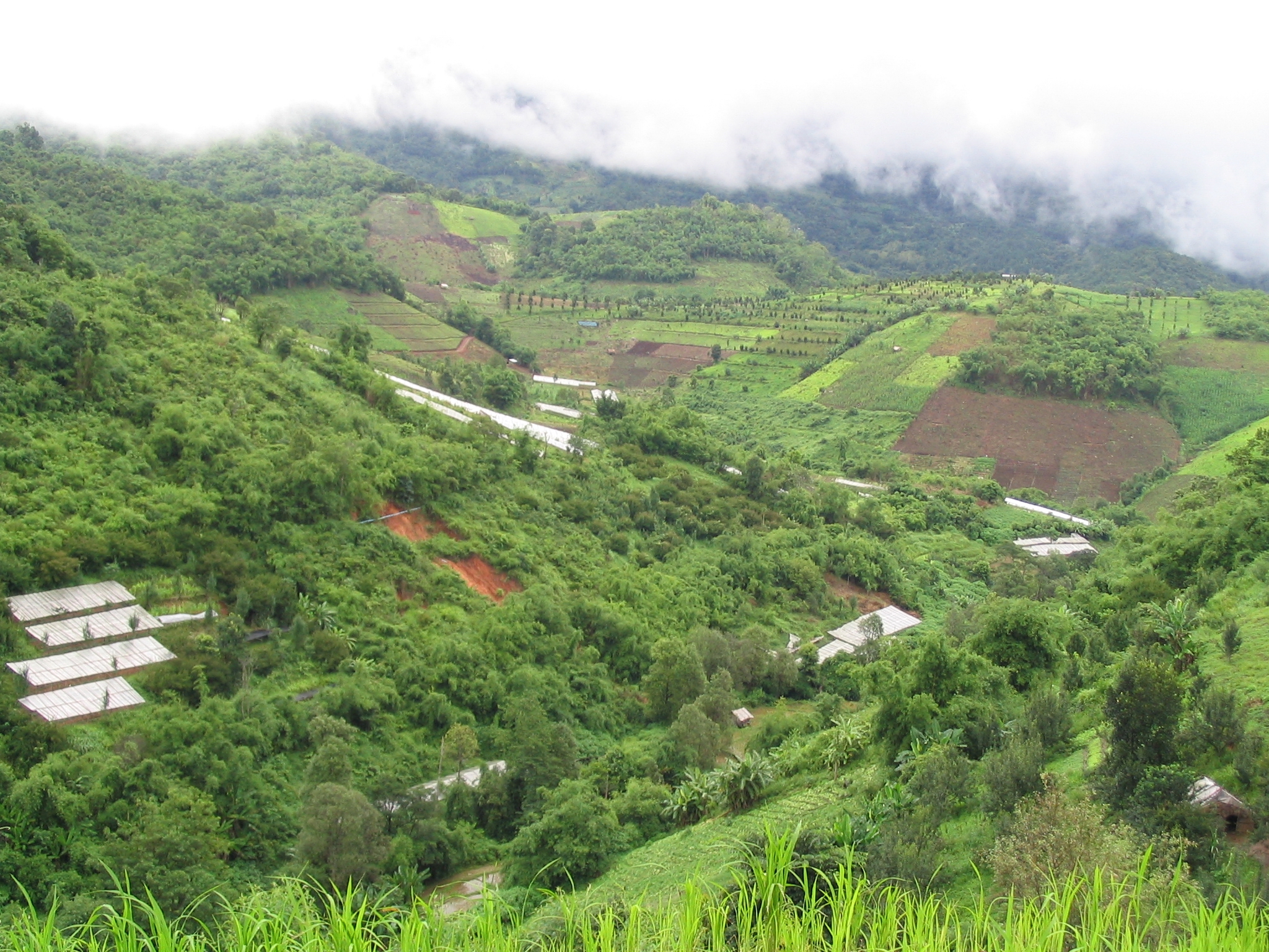 thumbnail of  Landscape Partnership for Asia: restoring drylands and drought-prone areas
