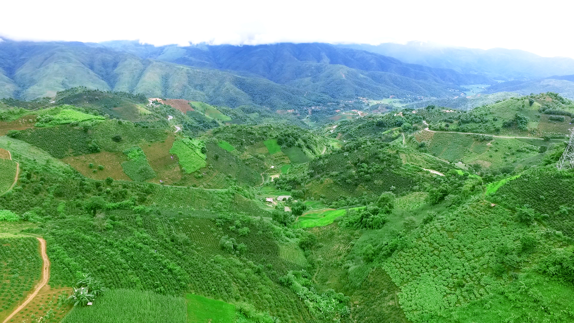 thumbnail of  NEW BOOK: Diversity of agroforestry practices in Viet Nam