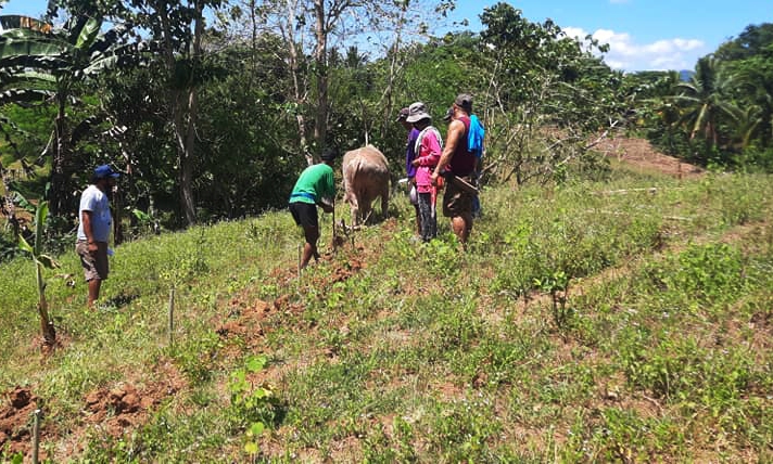 thumbnail of  Eat together, work together: piquing farmers’ interest in sustainable land management