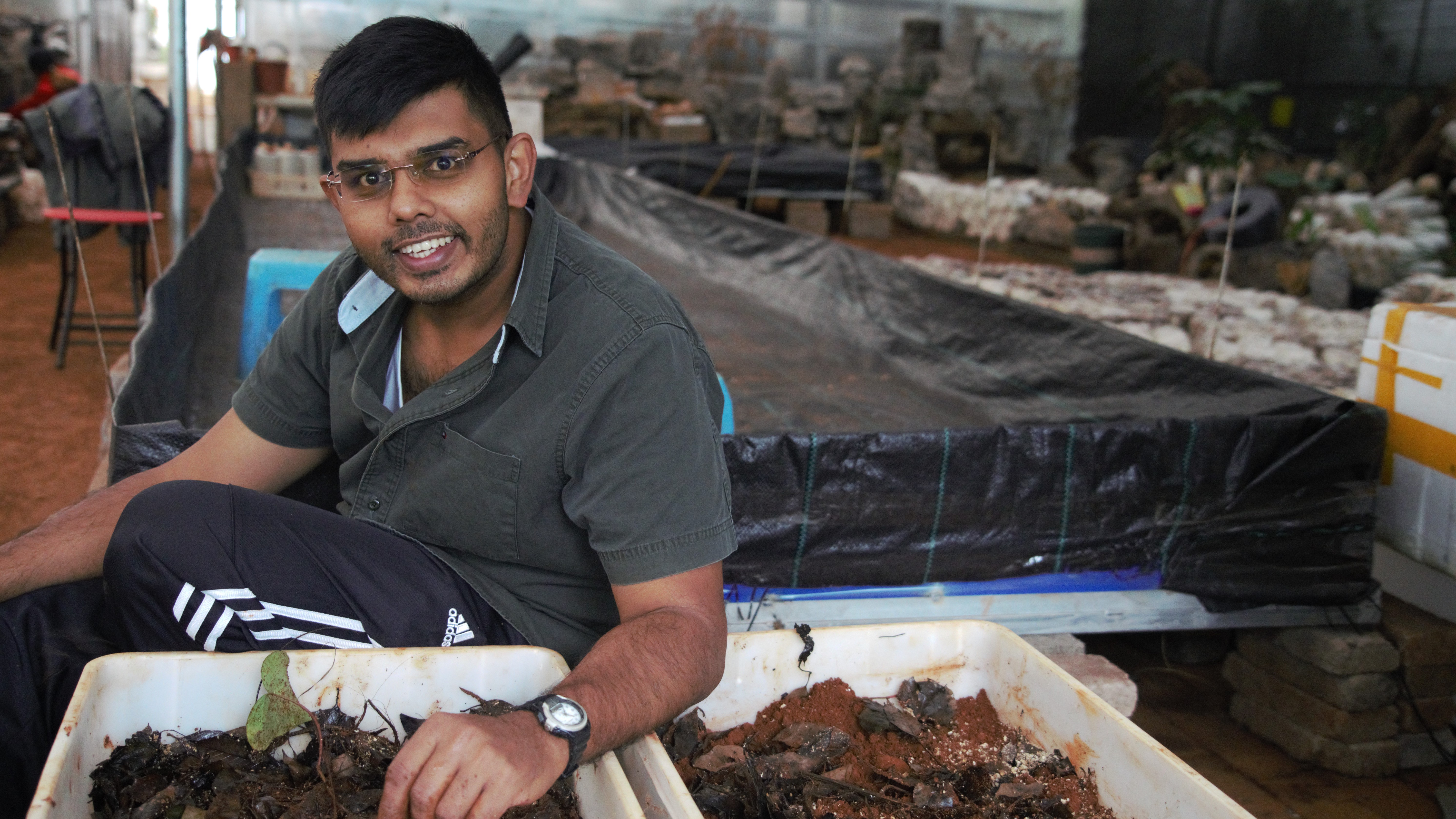 thumbnail of  Termitomyces: exploring the world’s most mysterious mushroom