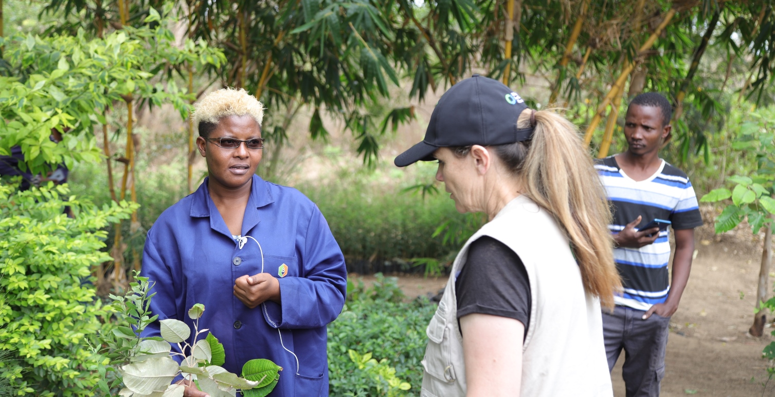 thumbnail of  “The journey has started”: In Kenya’s Kitui County, residents ready to restore landscapes