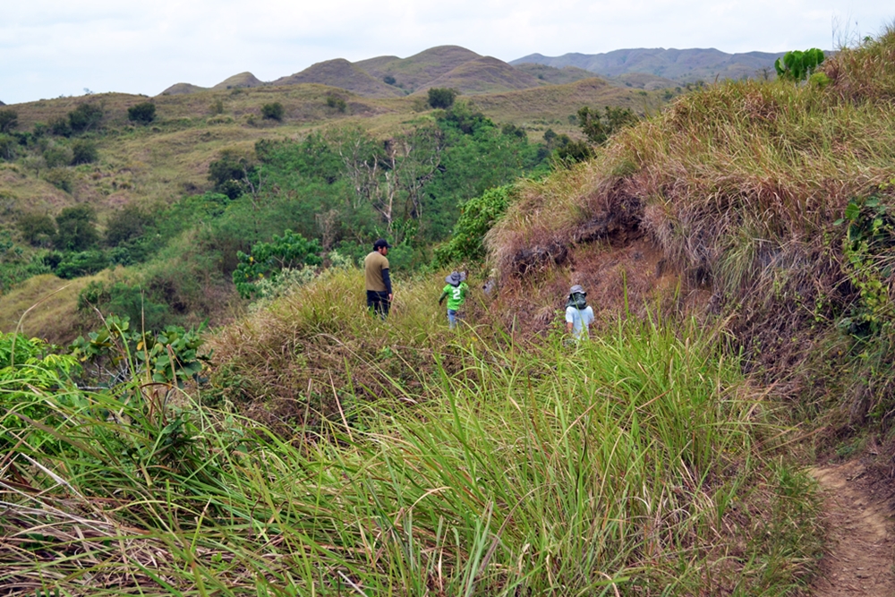 thumbnail of  Keeping track of environmental projects in the new normal: data does it