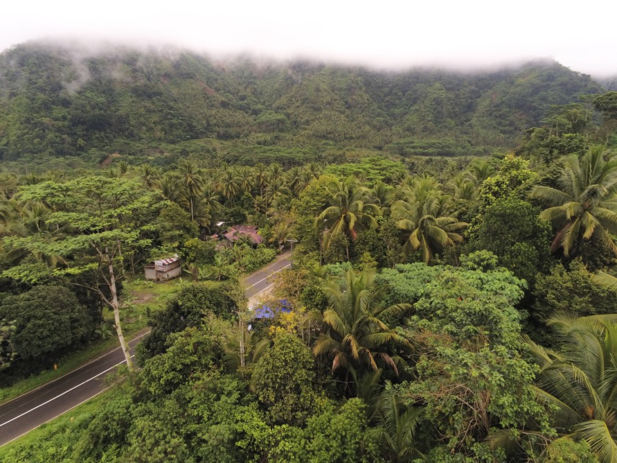 thumbnail of  It’s a match: Maximizing Davao de Oro’s potential for growing cacao