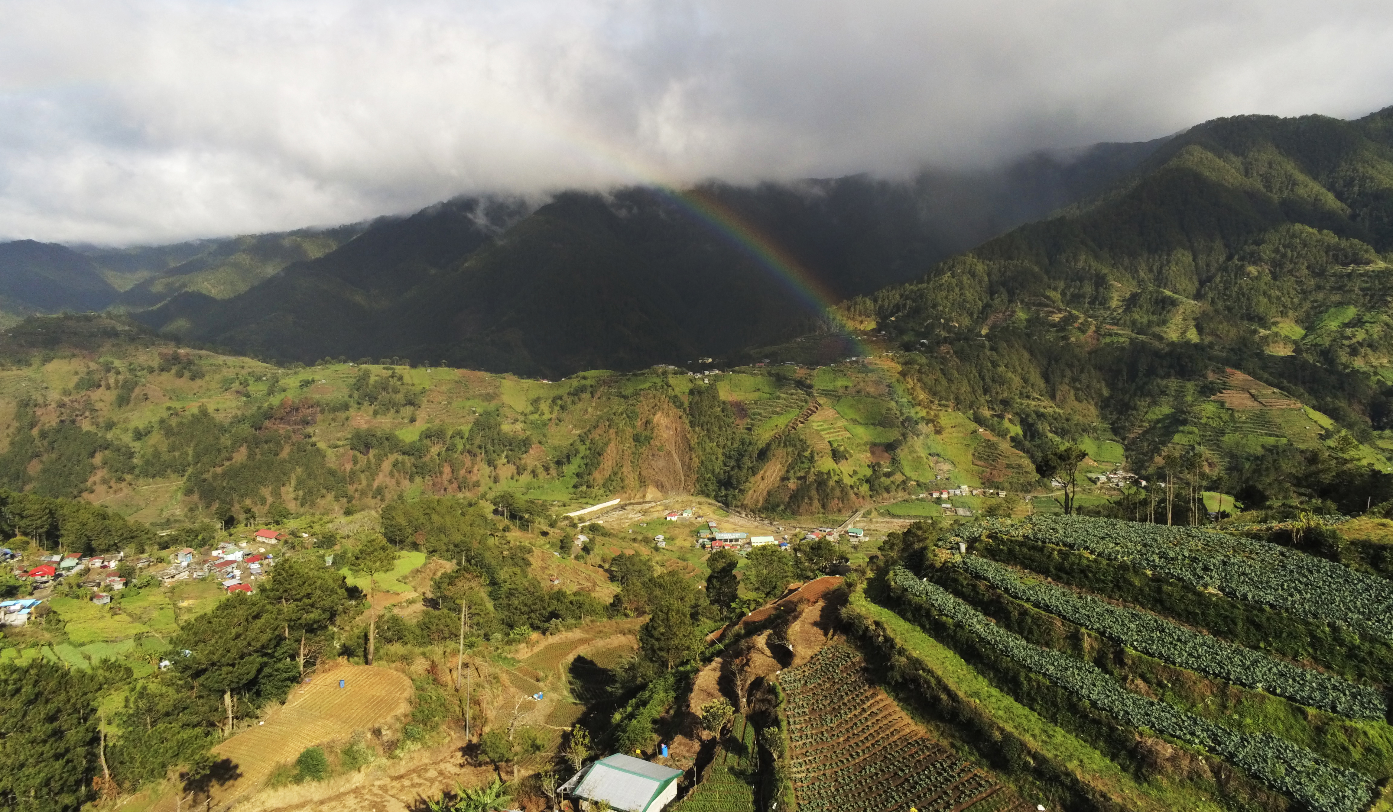 thumbnail of  Monitoring safeguards at the community-level: are we delivering good or bad change?