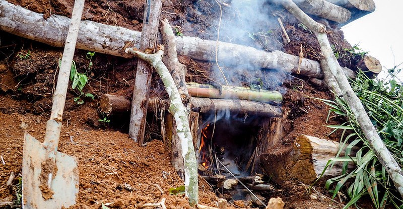 thumbnail of  The heat is on: Managing wood fuel sustainably in sub-Saharan Africa