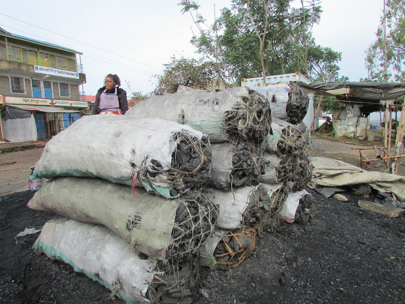 thumbnail of  Beyond bans: toward sustainable charcoal production in Kenya