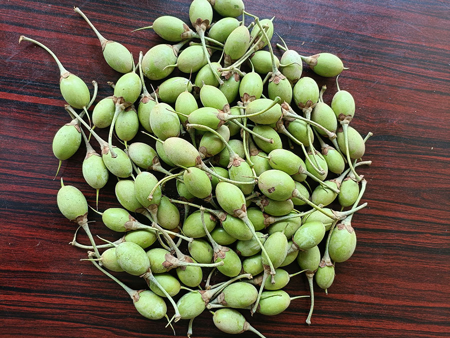 thumbnail of  Butter from a tree? Try chiuri!