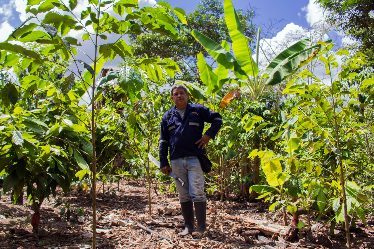 thumbnail of  Official definition of agroforestry for improved policies in Peru